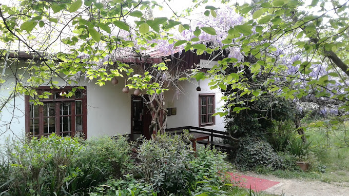 Zofia Rizi Anı Evi